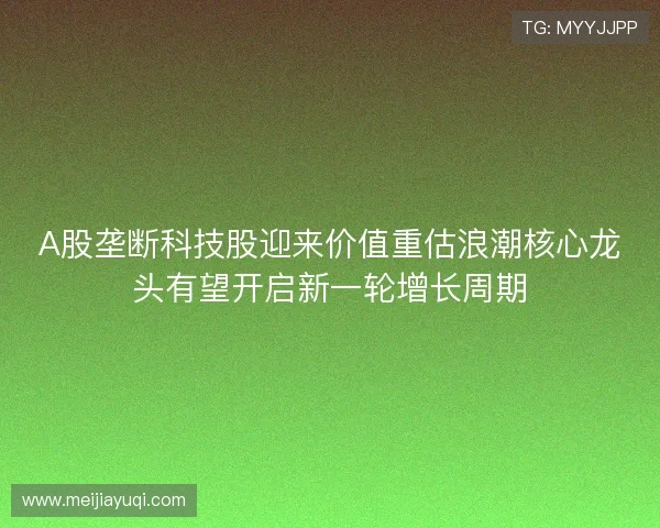 A股垄断科技股迎来价值重估浪潮核心龙头有望开启新一轮增长周期 A股垄断科技股迎来价值重估浪潮核心龙头有望开启新一轮增长周期