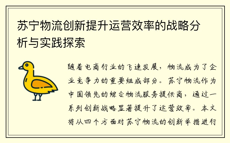 苏宁物流创新提升运营效率的战略分析与实践探索
