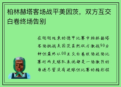柏林赫塔客场战平美因茨，双方互交白卷终场告别