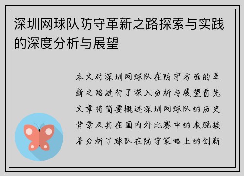 深圳网球队防守革新之路探索与实践的深度分析与展望