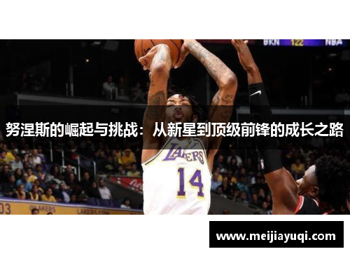 努涅斯的崛起与挑战：从新星到顶级前锋的成长之路